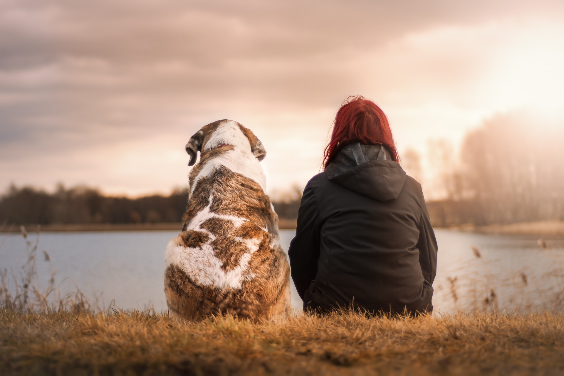 friends-g80d76e37b_1920